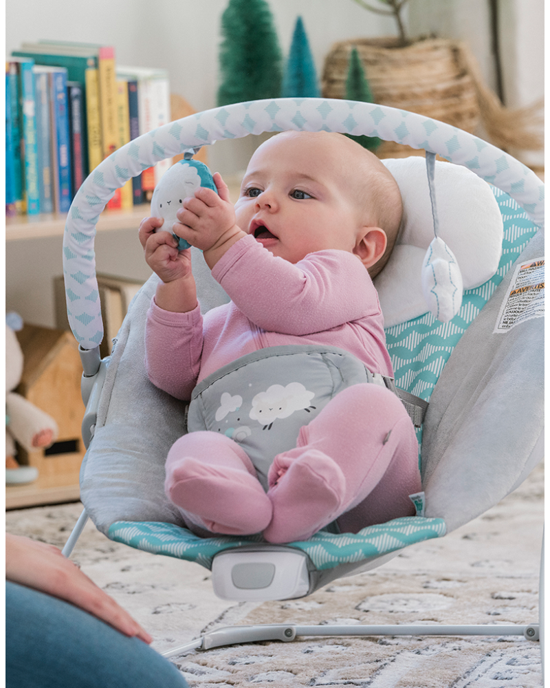 Ingenuity Bouncity Bounce babyprodukt